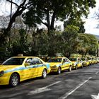 Funchal Taxi....