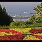 Funchal - wir kommen...