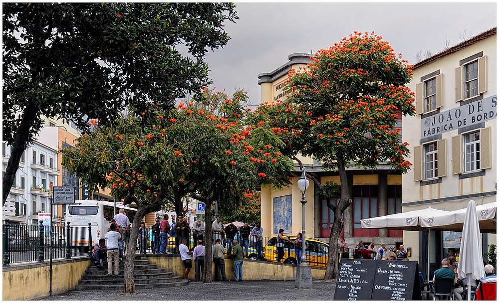 Funchal_12