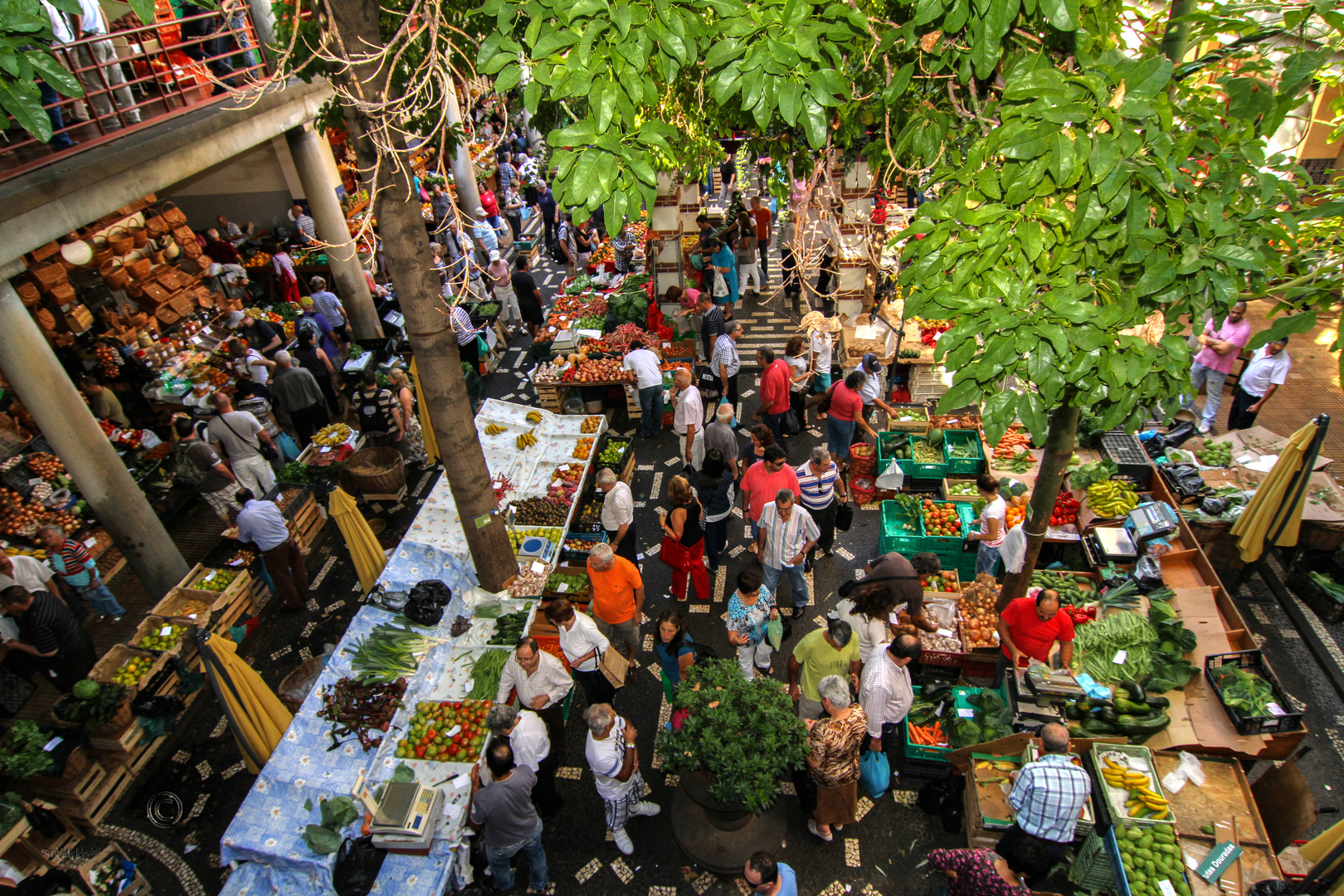 Funchal/Madeira - Markthalle