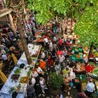 Funchal/Madeira - Markthalle