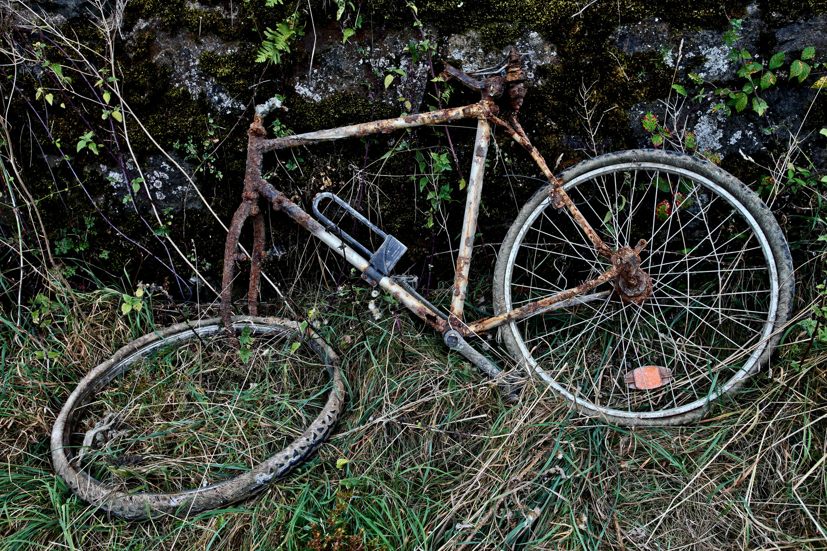 Fund am Wegesrand