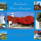 Fundacíon César Manrique Carta