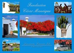 Fundacíon César Manrique Carta