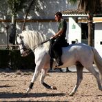 Fundación Real Escuela Andaluza del Arte Ecuestre I