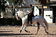 Fundación Real Escuela Andaluza del Arte Ecuestre I