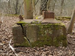 Fundament auf dem die deutsche Rüstung ruhte