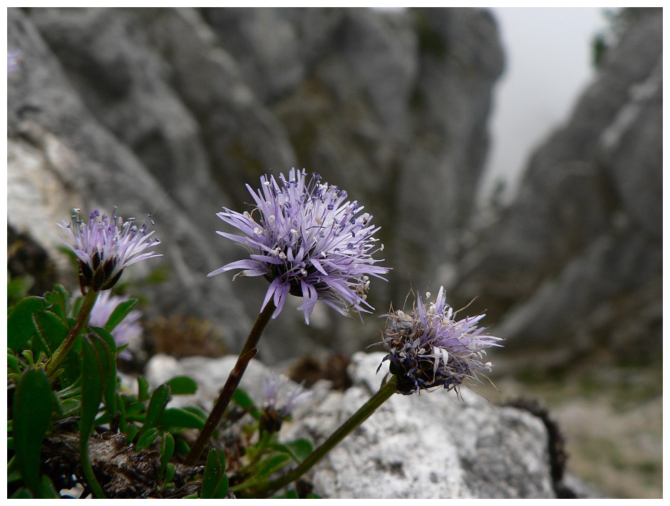 "Fundsache" im Mangfallgebirge