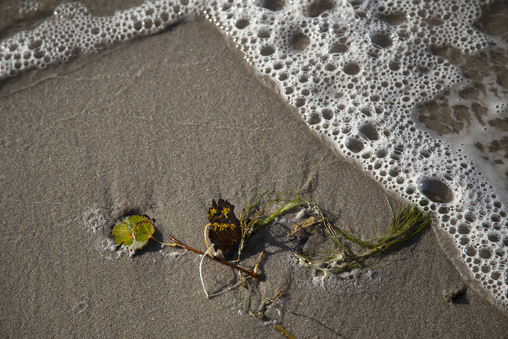 Fundstu?cke am Strand Kopie