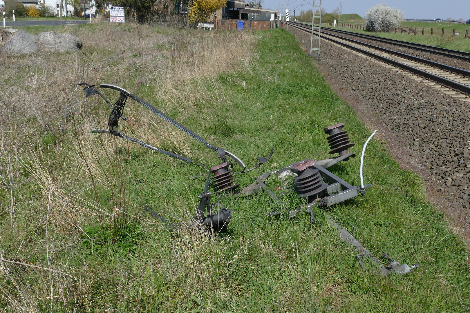 Fundstück bei Gernsheim