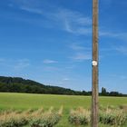 Fundstück - Häuptling Adlerschnabel hat seine Maske an den Nagel gehängt..