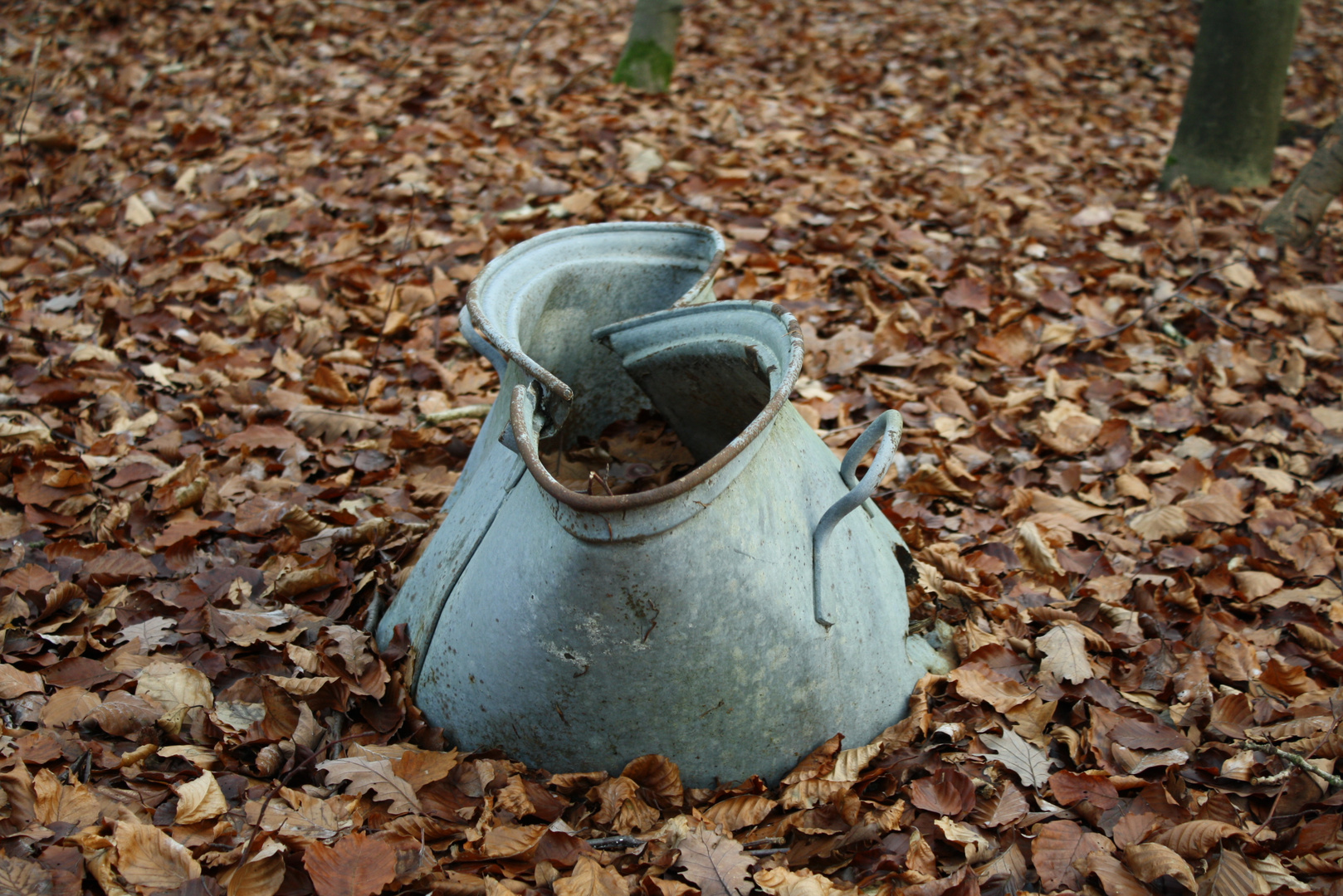 Fundstück im Wald