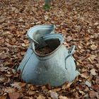 Fundstück im Wald