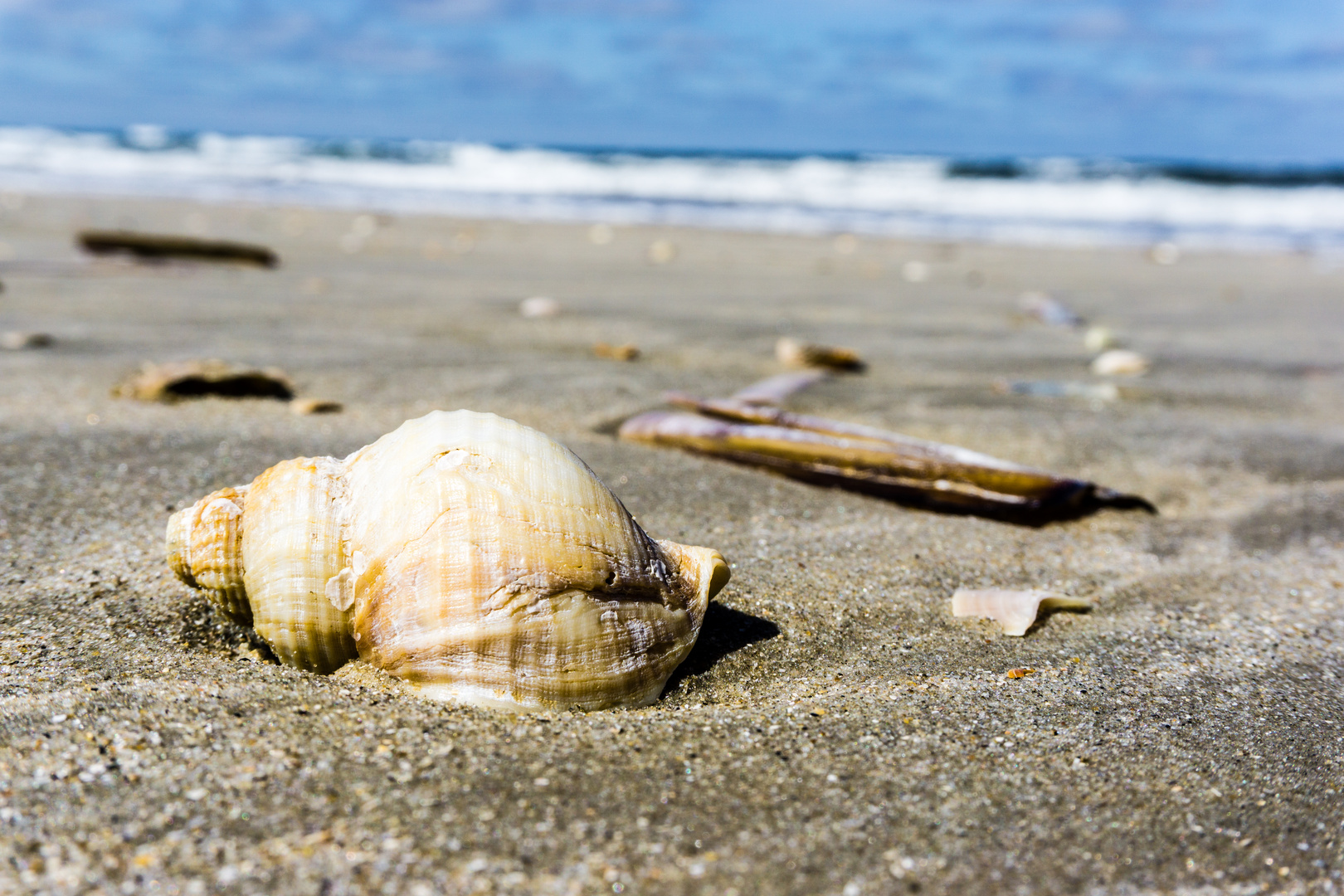 Fundstücke am Strand