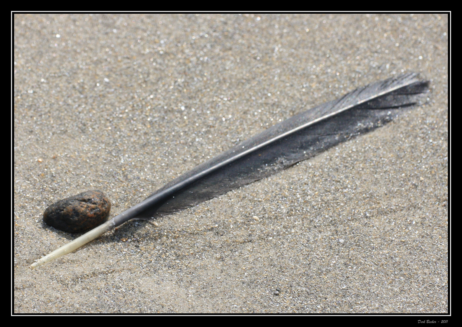 Fundstücke - Helgoland Düne