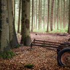 Fundstücke in der Landschaft 02
