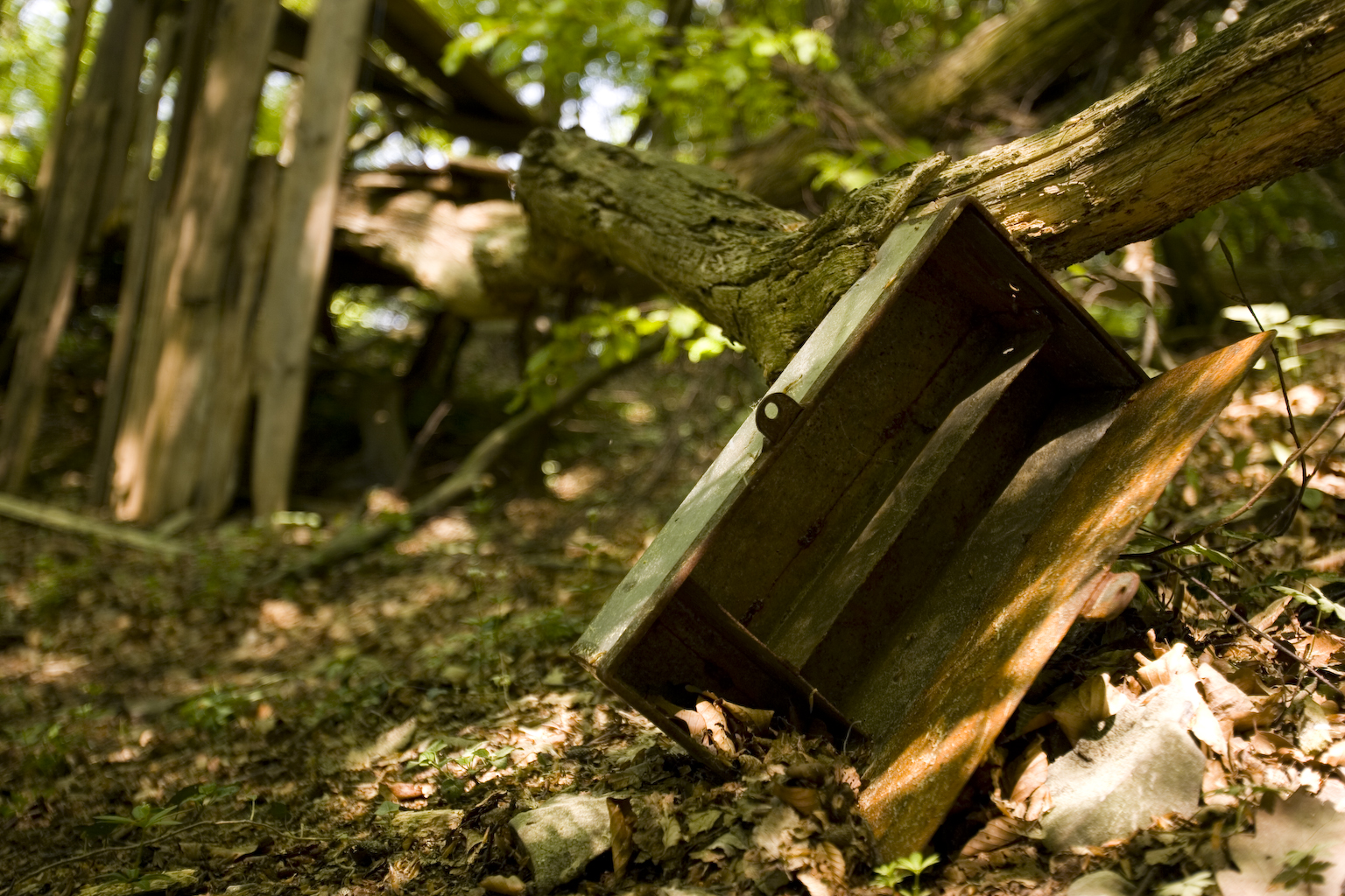 Fundstücke in der Natur :)