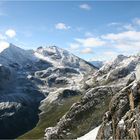 Fundusfeiler im Sommerschnee