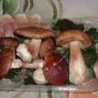 funghi