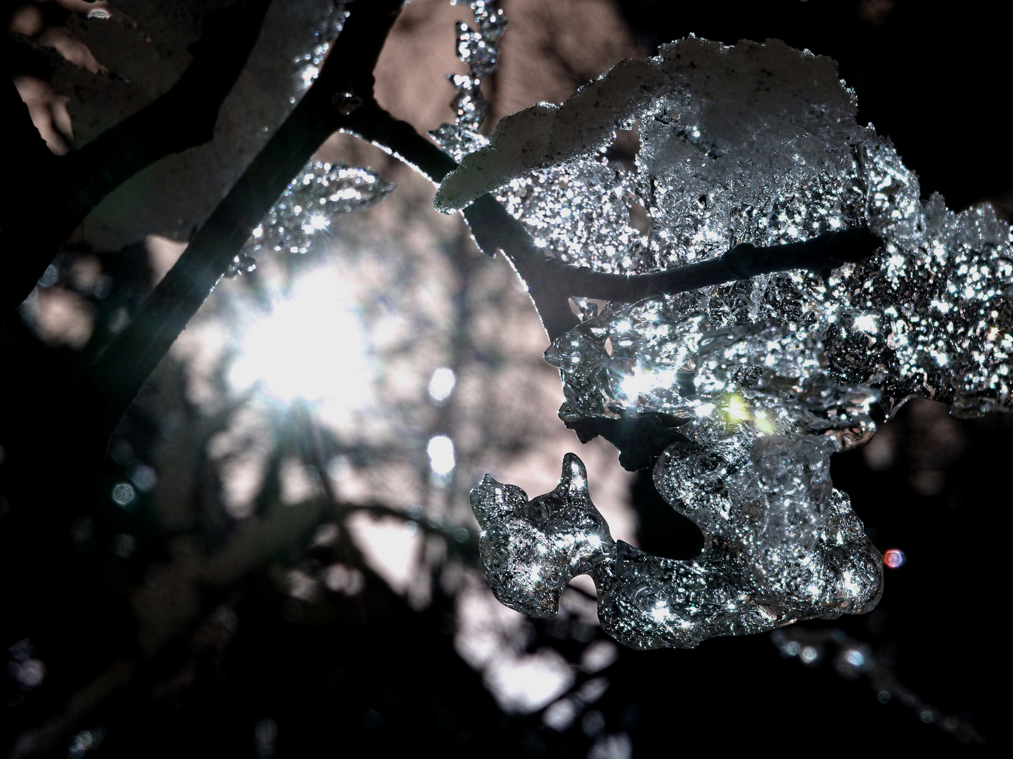 Funkelndes Eiskristall am Baum