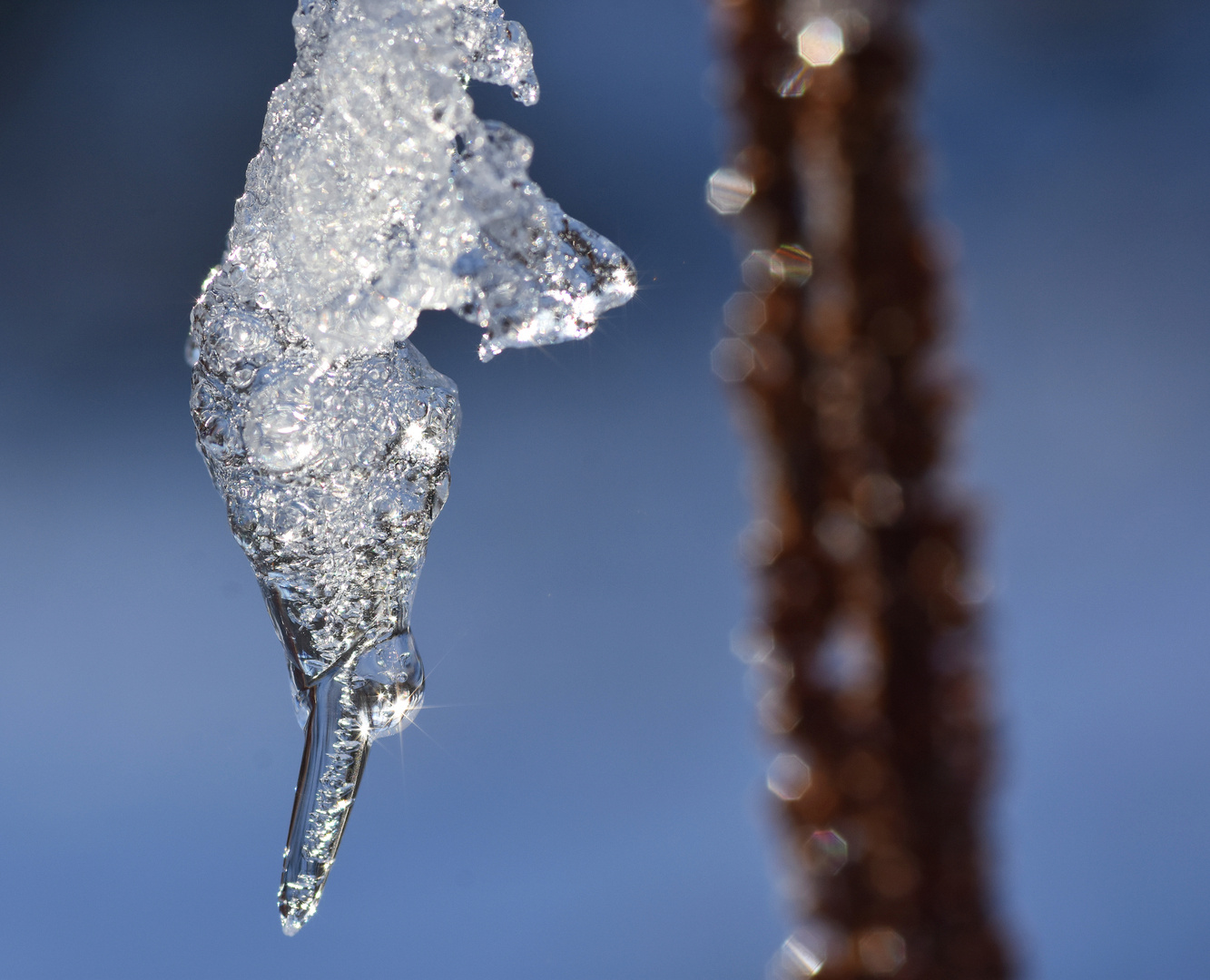 Funkelndes Glitzern in der Morgensonne