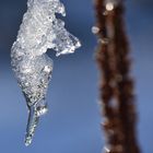 Funkelndes Glitzern in der Morgensonne