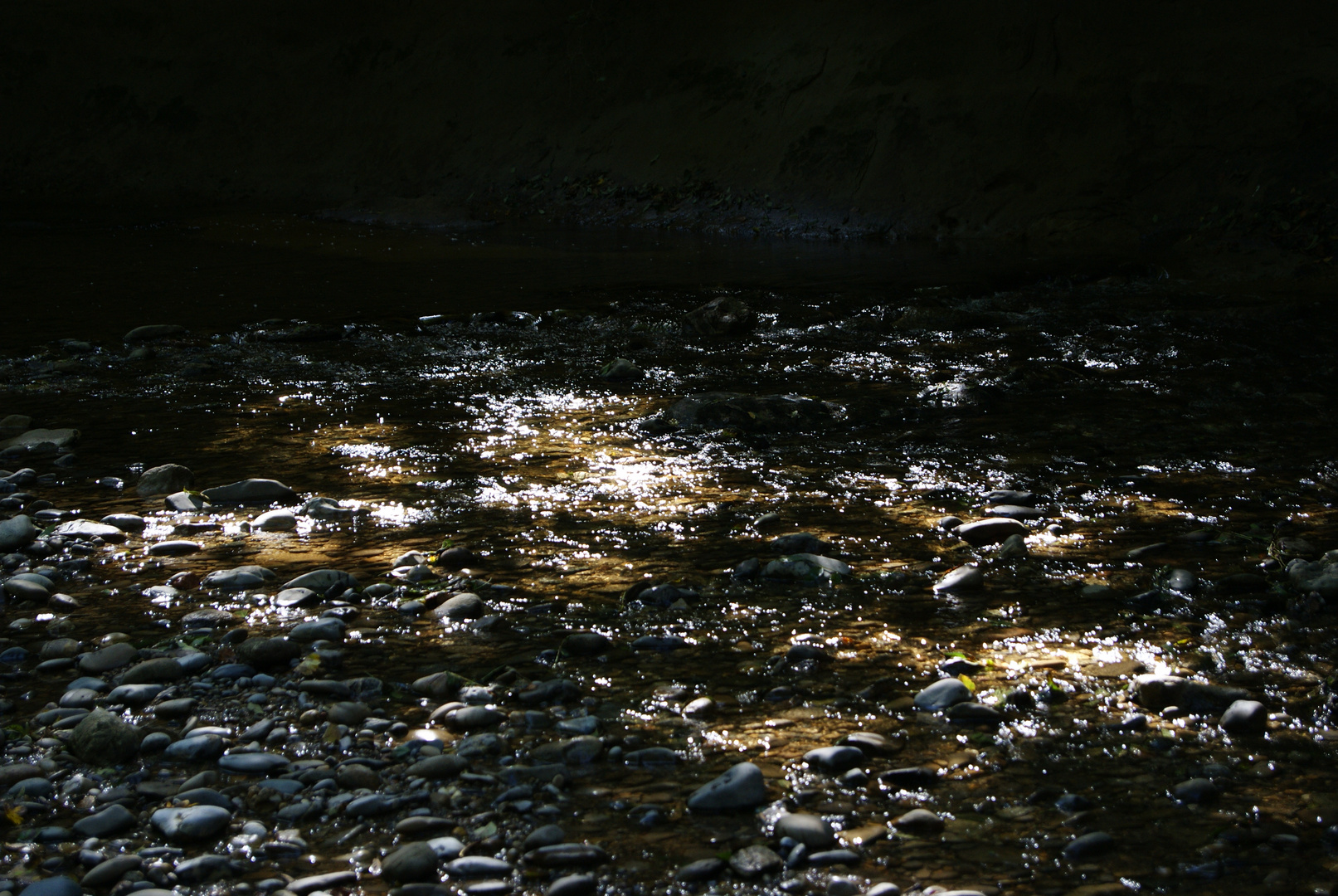 Funkelndes Leuchten in Seichten Wasser