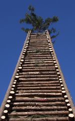 Funkenabbrennen in Vorarlberg