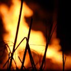 Funkenfeuer