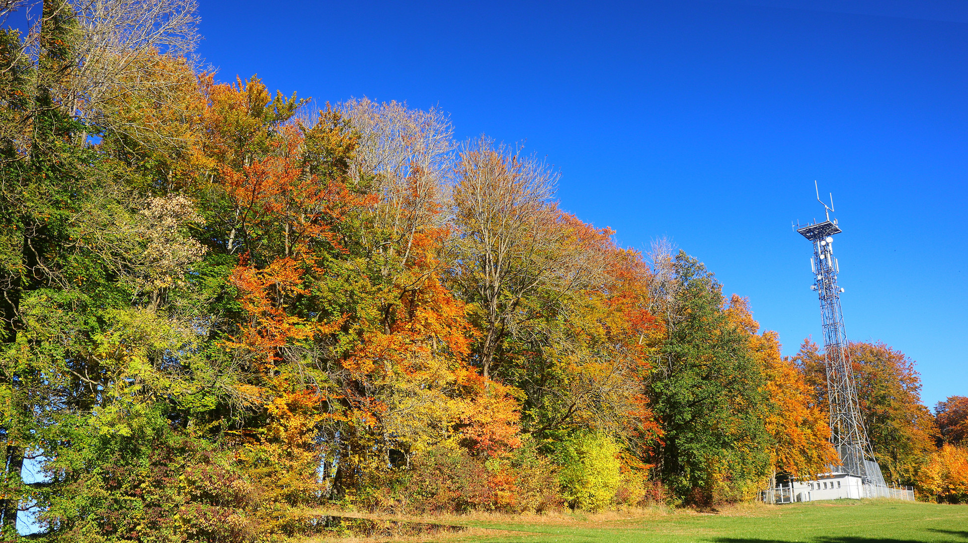 Funkstation im Herbst