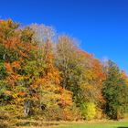 Funkstation im Herbst