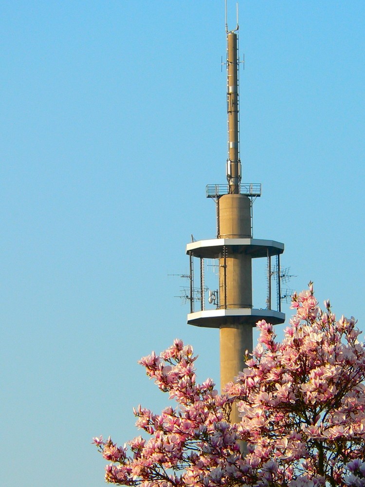 Funkturm im Frühling