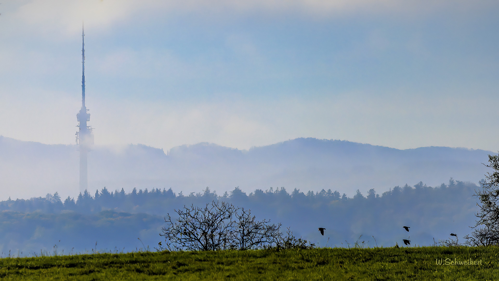 Funkturm im Frühnebel