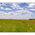 FUNKTURM :: PANORAMA