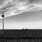 FUNKTURM :: PANORAMA II