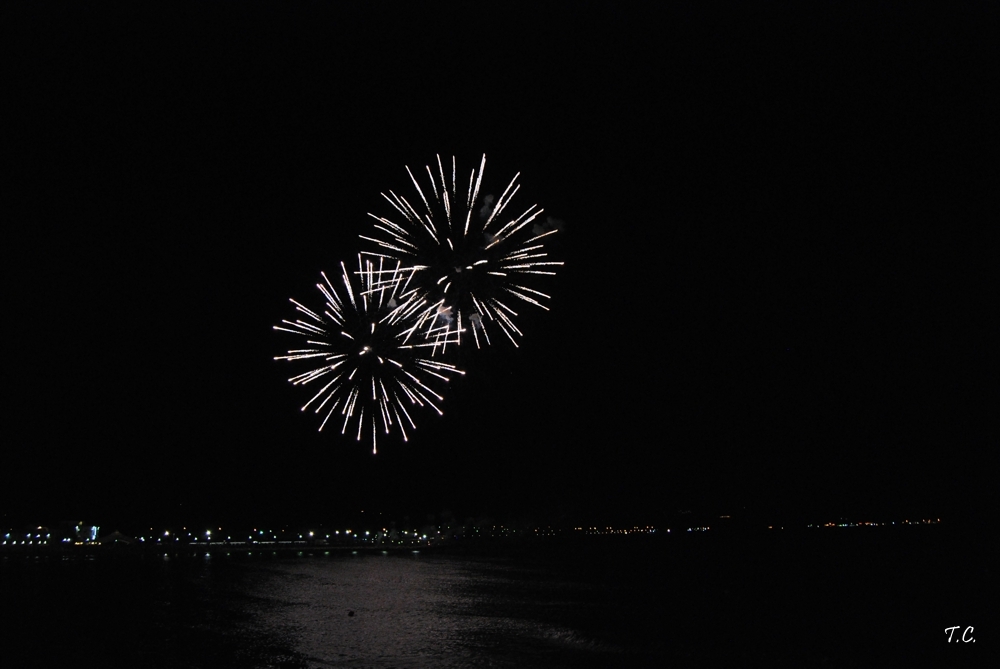 Fuochi artificiali