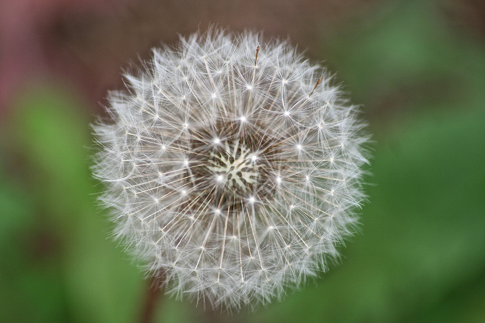 fuochi d'artificio 2