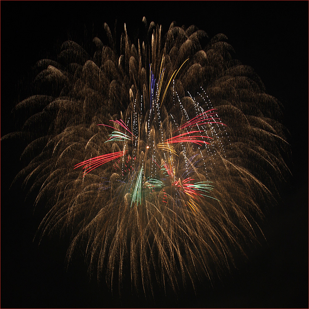 Fuochi d'artificio a Neuhausen Svizzera (Rheinfall)