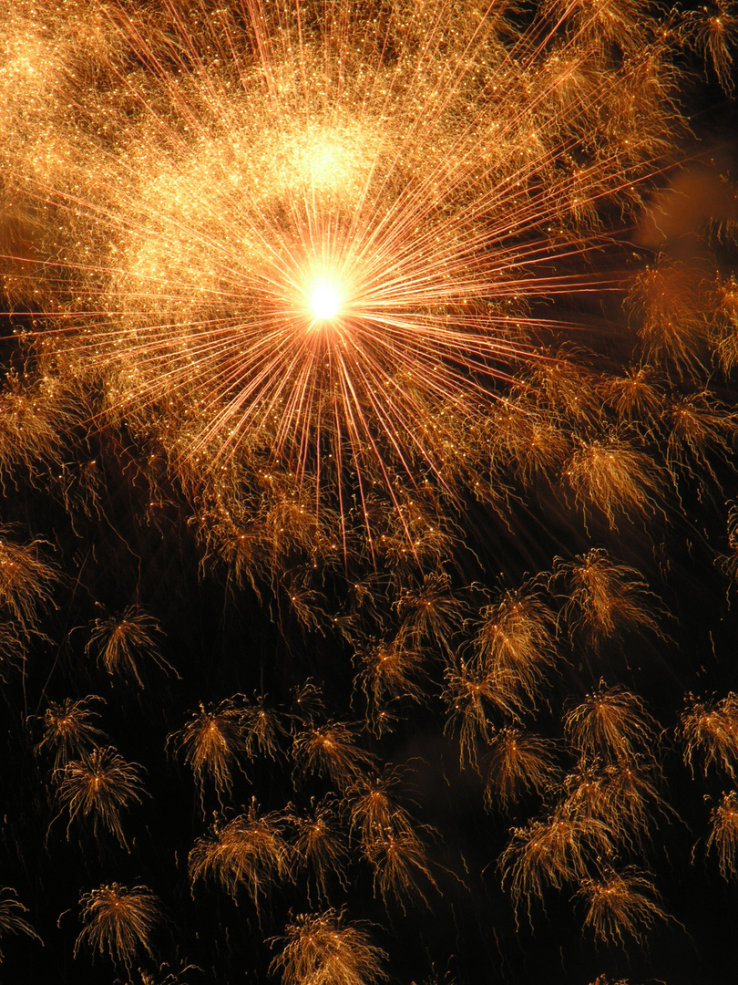 Fuochi d'artificio