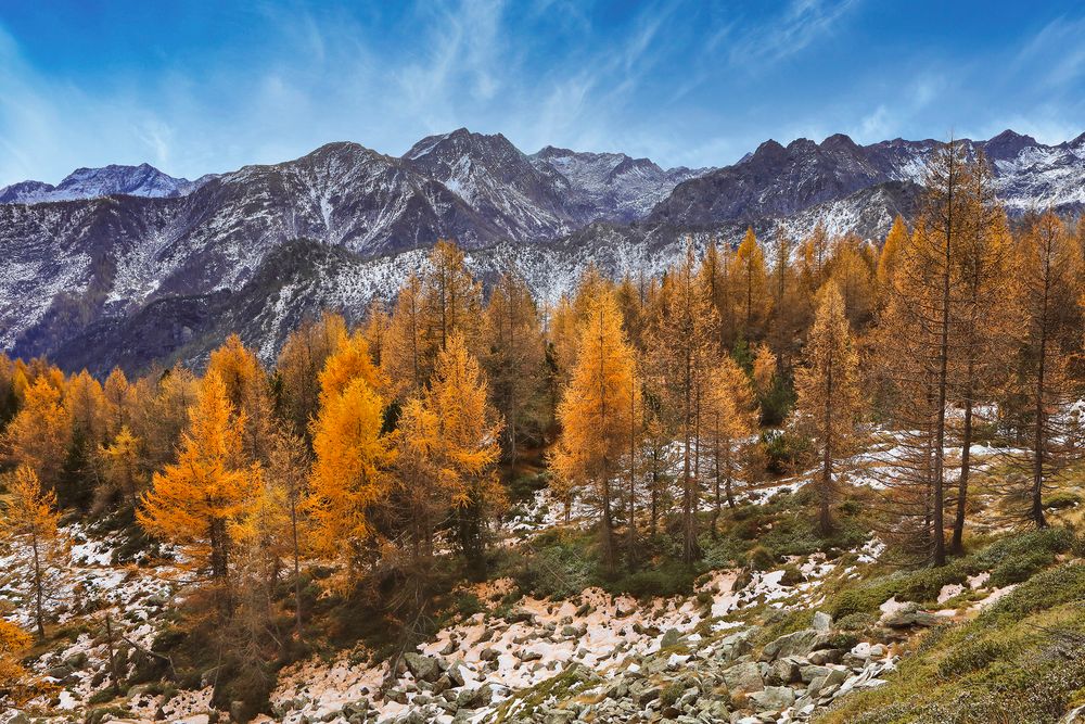 Fuochi d'autunno