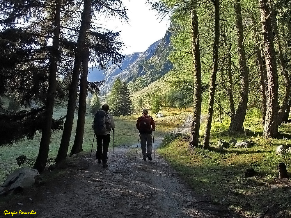 Fuori dal freddo Bosco