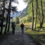 Fuori dal freddo Bosco