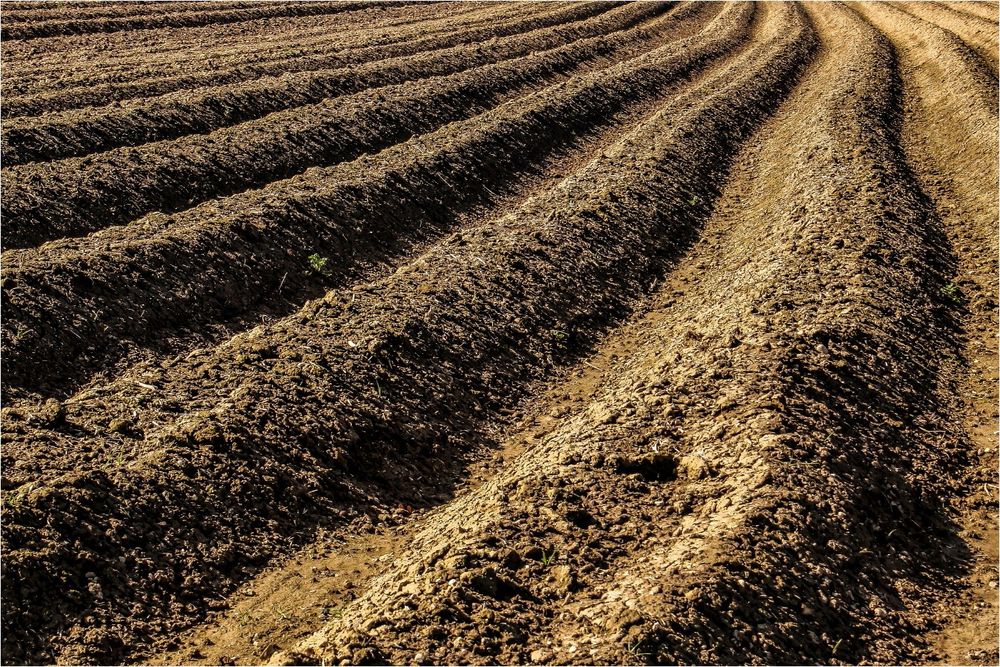 Furchen Foto & Bild art, world, feld Bilder auf