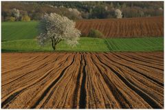 Furchen und Farben