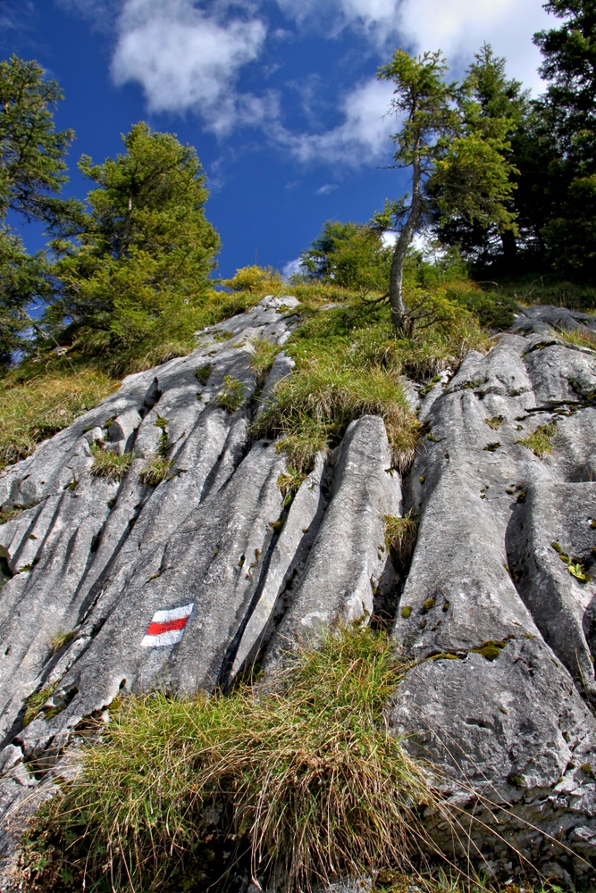 Furchenfels