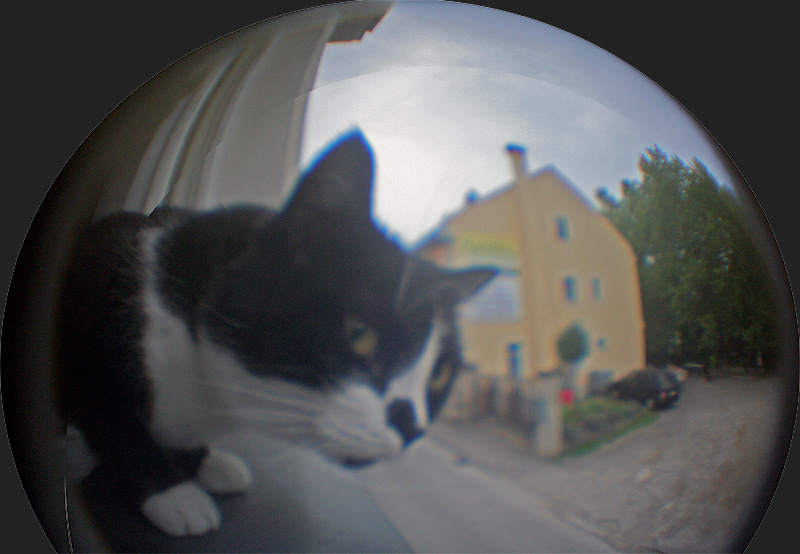 furchtloser Selbstversuch mit dem Selbstbau-Fisheye-Objektiv