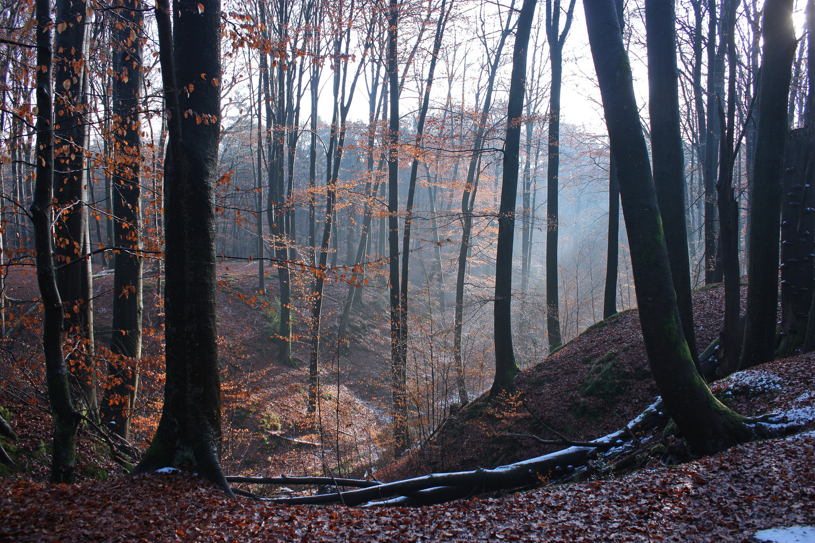 Furlbachschlucht