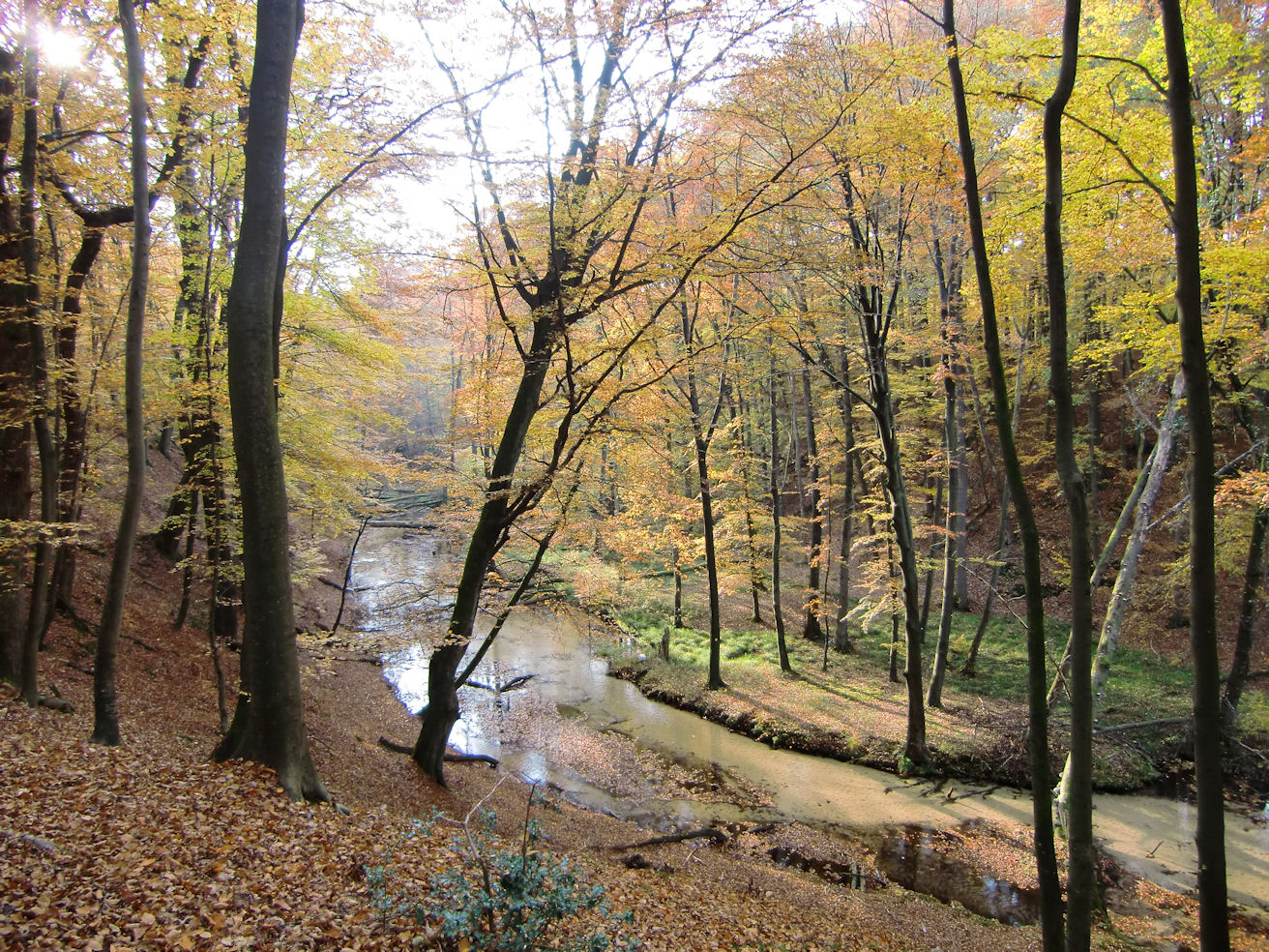 Furlbachtal Ende Oktober