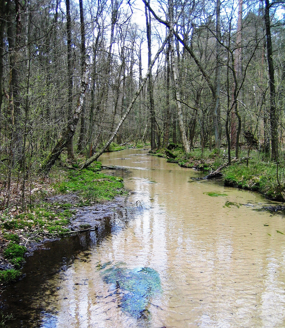 Furlbachtal in Stukenbrock-Senne