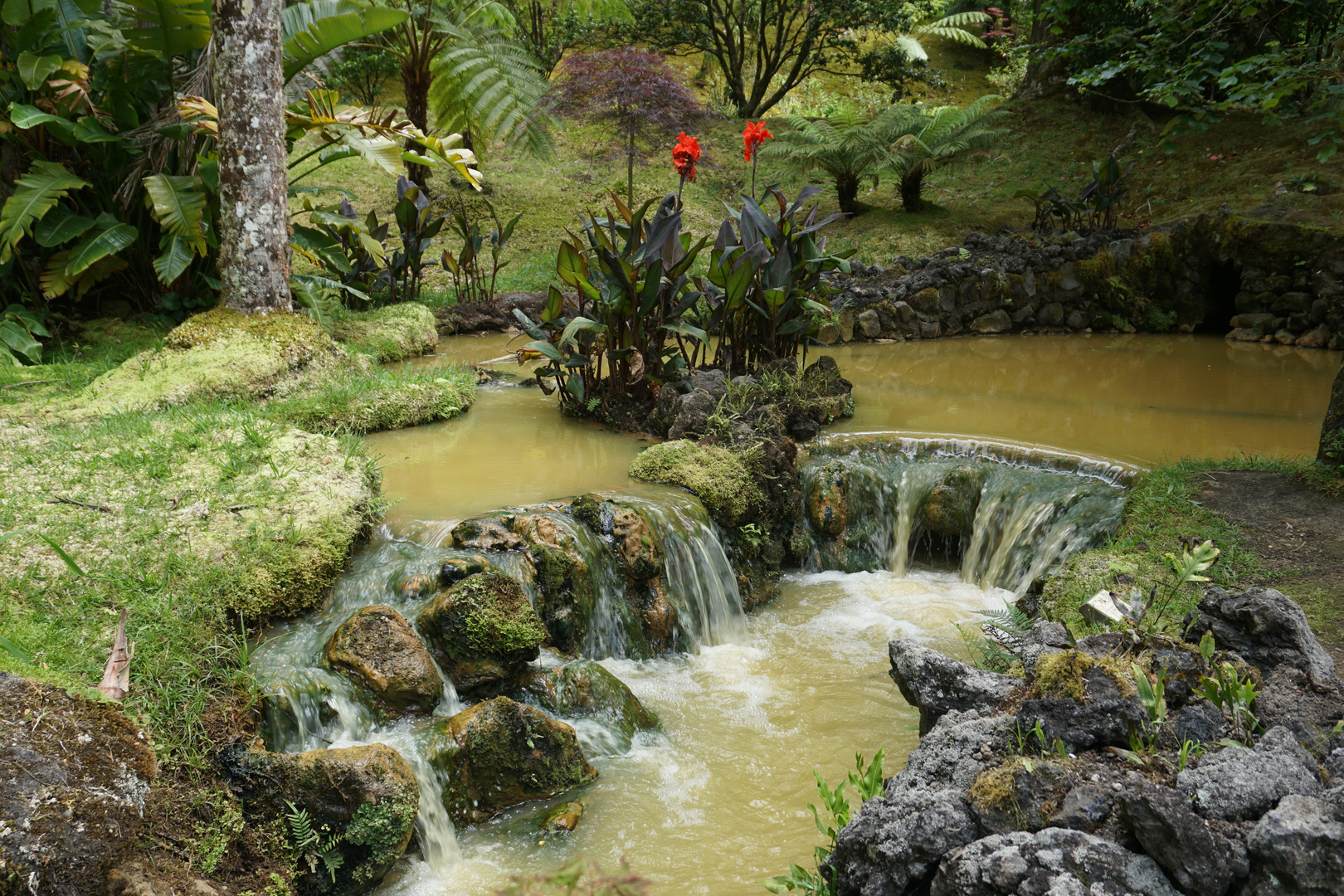 Furnas Park Terra Nostra Eisenhaltiges warmes Wasser